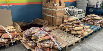 La Guardia Civil desarticula en Guadalajara un violento grupo criminal dedicado al robo de camiones en la A-2 y zona centro