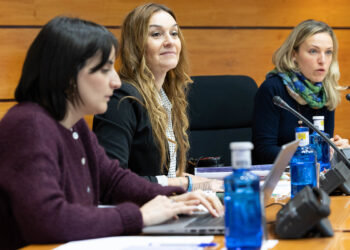 La Junta concede 683.500 euros en ayudas directas a mujeres víctimas de violencia de género y a sus hijas e hijos en 2024