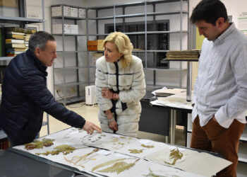La Junta pone en valor el Herbario IRIAF de Albaladejito como referente en investigación y conservación de la flora de la región