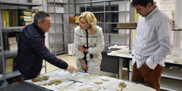 La Junta pone en valor el Herbario IRIAF de Albaladejito como referente en investigación y conservación de la flora de la región