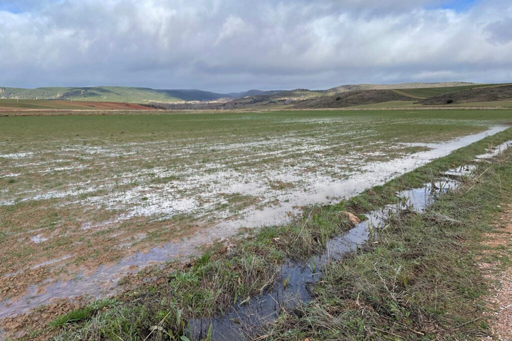 La Mancomunidad de Aguas del Bornova solicita a la Confederación Hidrográfica del Tajo medidas preventivas ante el aumento de caudales