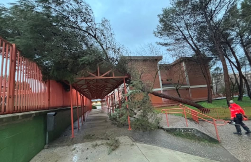 El temporal Joseph se despide de Cuenca y Guadalajara con más de 200 incidencias, marcadas por la nieve en la A-40 y la A-2 2 La Policia Local de Cuenca corta accesos al rio Jucar por crecida del caudal y colabora con Bomberos tras caida de arbol 1