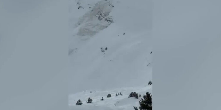 Muere un joven de Guadalajara en el alud de Cerler era hijo de la anterior presidenta del Club Maratón Guadalajara