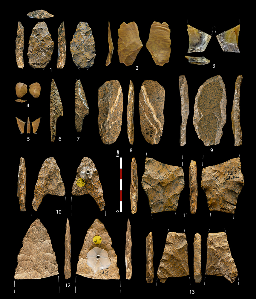 Tamajón, clave en un hallazgo sobre redes sociales de miles de kilómetros cuadrados en el Paleolítico superior
