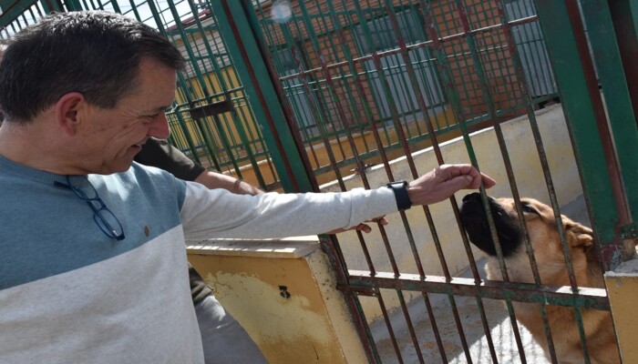 El Albergue Provincial de Animales de Cuenca aumenta un 4,5 % las adopciones y acogidas en 2025 2 VISITA AL ALBERGUE
