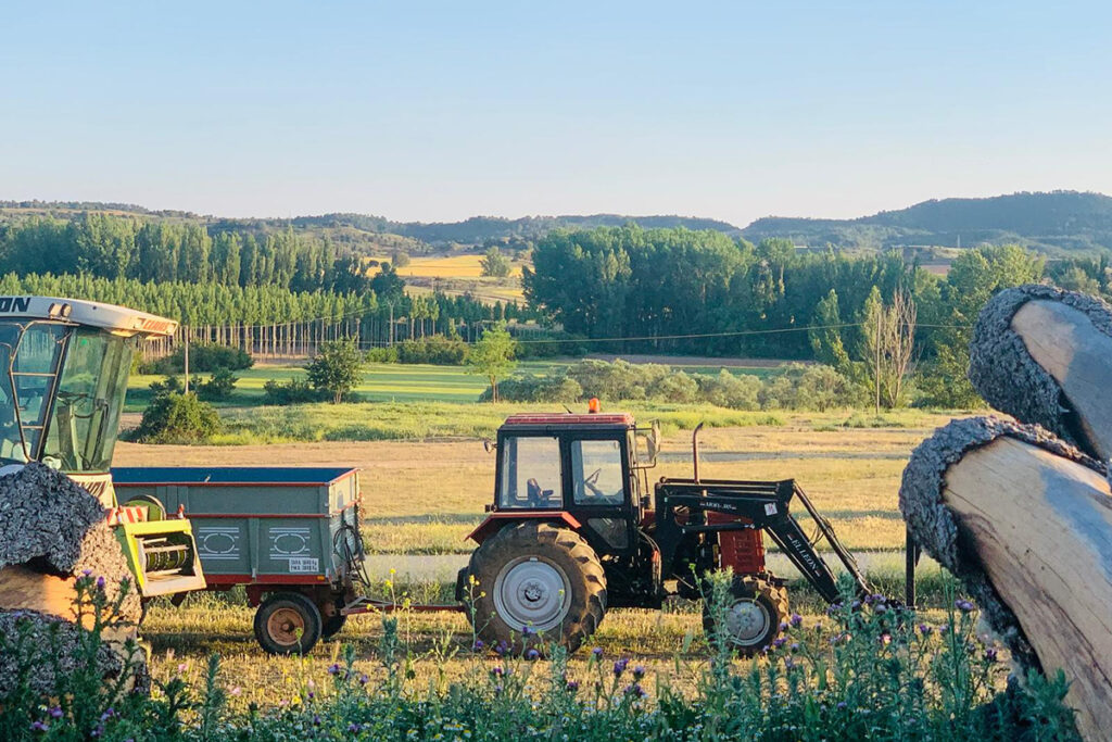 ¿Dónde están los 3.500 puestos de trabajo ALIENTE en Guadalajara responde a Page