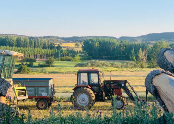 ¿Dónde están los 3.500 puestos de trabajo ALIENTE en Guadalajara responde a Page