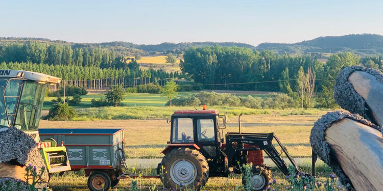 ¿Dónde están los 3.500 puestos de trabajo ALIENTE en Guadalajara responde a Page