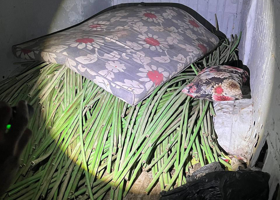 2025 02 09 Foto Prensa 1 1