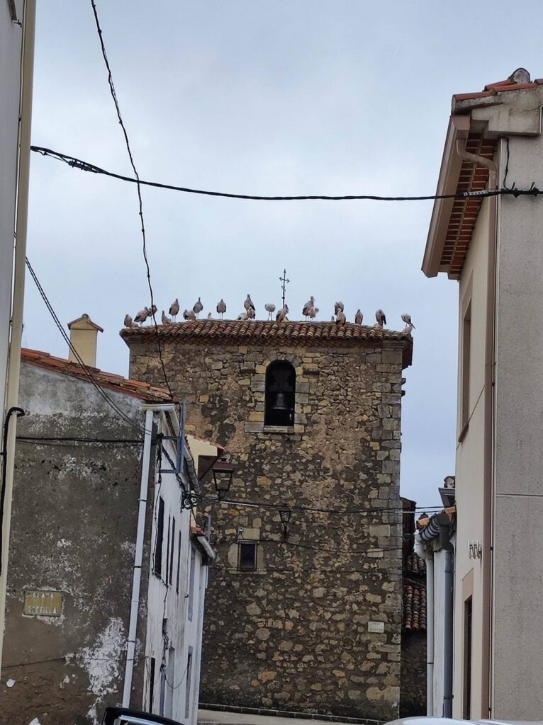 635808125 1688760368954834 3742554826000266328 n