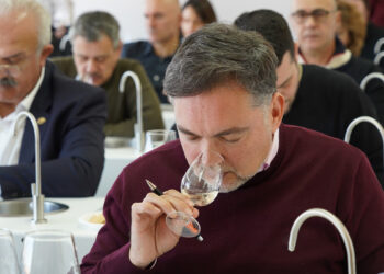 DO La Mancha elige a sus mejores vinos en la cata final del XXXIX Concurso a la Calidad