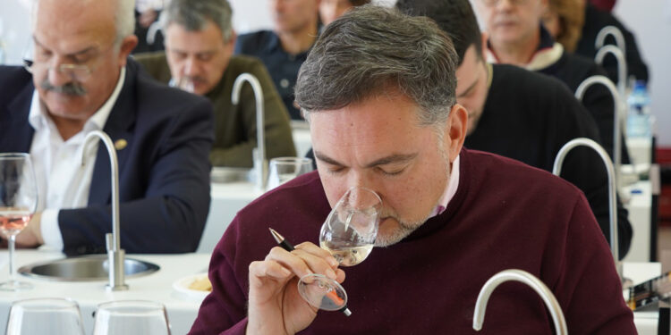 DO La Mancha elige a sus mejores vinos en la cata final del XXXIX Concurso a la Calidad