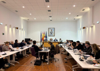 El Ayuntamiento de Guadalajara aprueba nuevas inversiones por más de un millón de euros en instalaciones deportivas, parques y servicios municipales