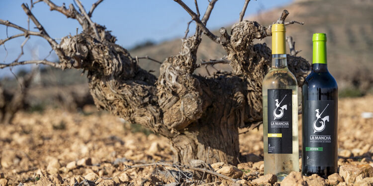 El Consejo Regulador de la DO La Mancha califica la añada 2025 como excelente