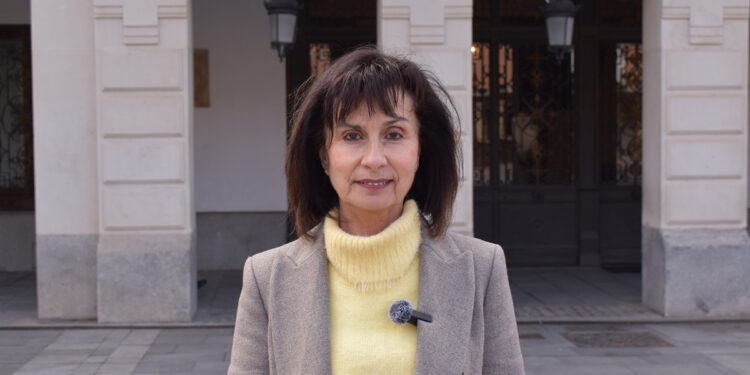 El PSOE critica que los recortes de Guarinos en mantenimiento de calles tengan la ciudad llena de agujeros y exige que se actúe cuanto antes 1 El PSOE critica que los recortes de Guarinos en mantenimiento de calles tengan la ciudad llena de agujeros y exige que se actúe cuanto antes