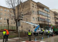 El Plan de Podas del Ayuntamiento de Cuenca continúa su desarrollo con el objetivo de evitar riesgos a la ciudadanía