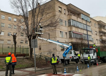 El Plan de Podas del Ayuntamiento de Cuenca continúa su desarrollo con el objetivo de evitar riesgos a la ciudadanía
