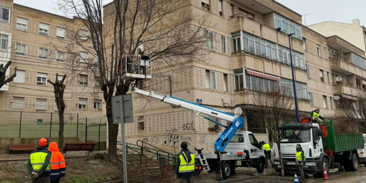 El Plan de Podas del Ayuntamiento de Cuenca continúa su desarrollo con el objetivo de evitar riesgos a la ciudadanía