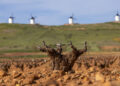 El viñedo desciende en la DO La Mancha, aunque mantiene su liderazgo y diversidad