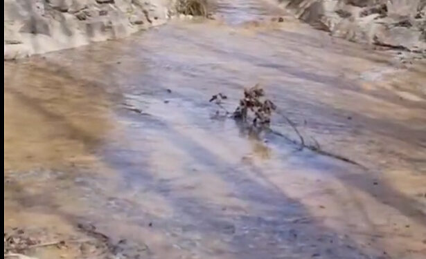 Entrepeñas y Buendía superan los 626 hm³ y activan el trasvase en lámina libre por segundo año consecutivo desde 1997