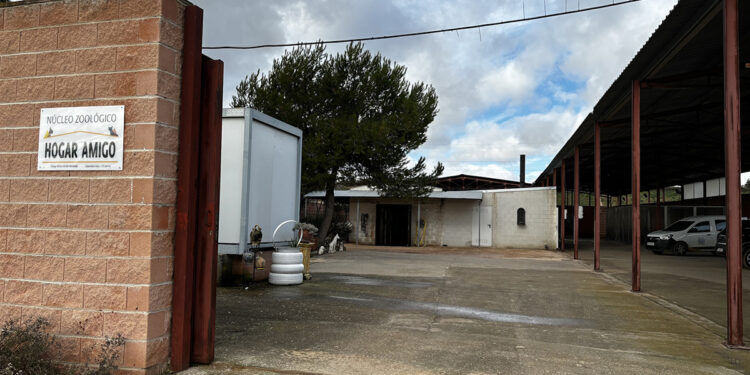 Hogar Amigo consigue reencontrar a 90 perros perdidos con sus familias y realiza 22 adopciones en situación de abandono 1 Hogar Amigo consigue reencontrar a 90 perros perdidos con sus familias y realiza 22 adopciones en situación de abandono