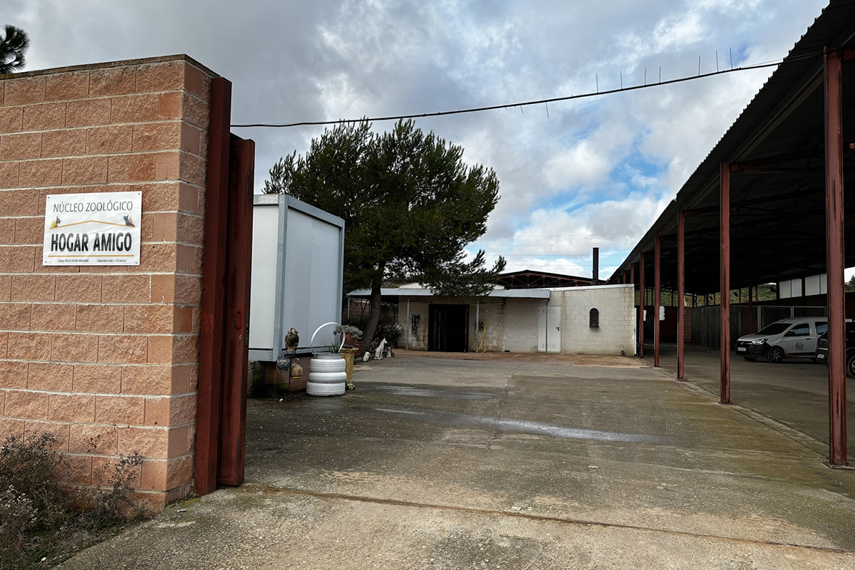 Hogar Amigo consigue reencontrar a 90 perros perdidos con sus familias y realiza 22 adopciones en situación de abandono 2 Hogar Amigo consigue reencontrar a 90 perros perdidos con sus familias y realiza 22 adopciones en situación de abandono