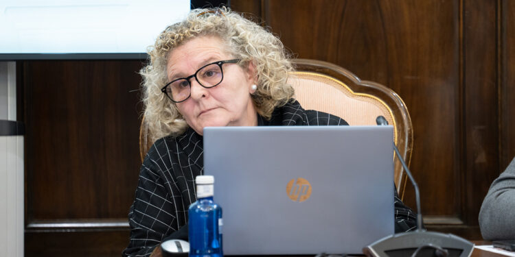 La Diputación de Guadalajara incorpora 6,6 millones de euros a su presupuesto para mejorar infraestructuras y servicios 1 La Diputación de Guadalajara incorpora 6,6 millones de euros a su presupuesto para mejorar infraestructuras y servicios