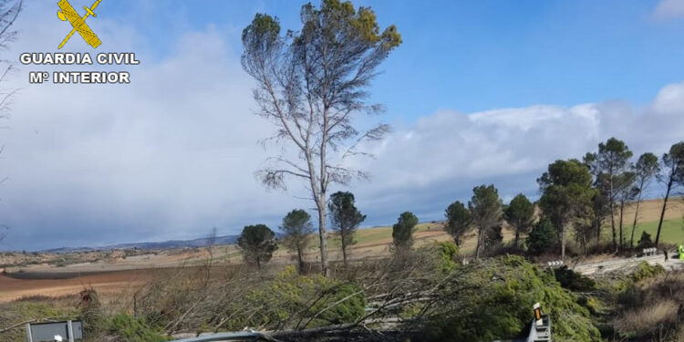 La Guardia Civil de Guadalajara se abre paso a contrarreloj para que una niña llegue a tiempo a su transfusión de sangre 1 La Guardia Civil de Guadalajara auxilia a una menor que precisaba una transfusión urgente de sangre
