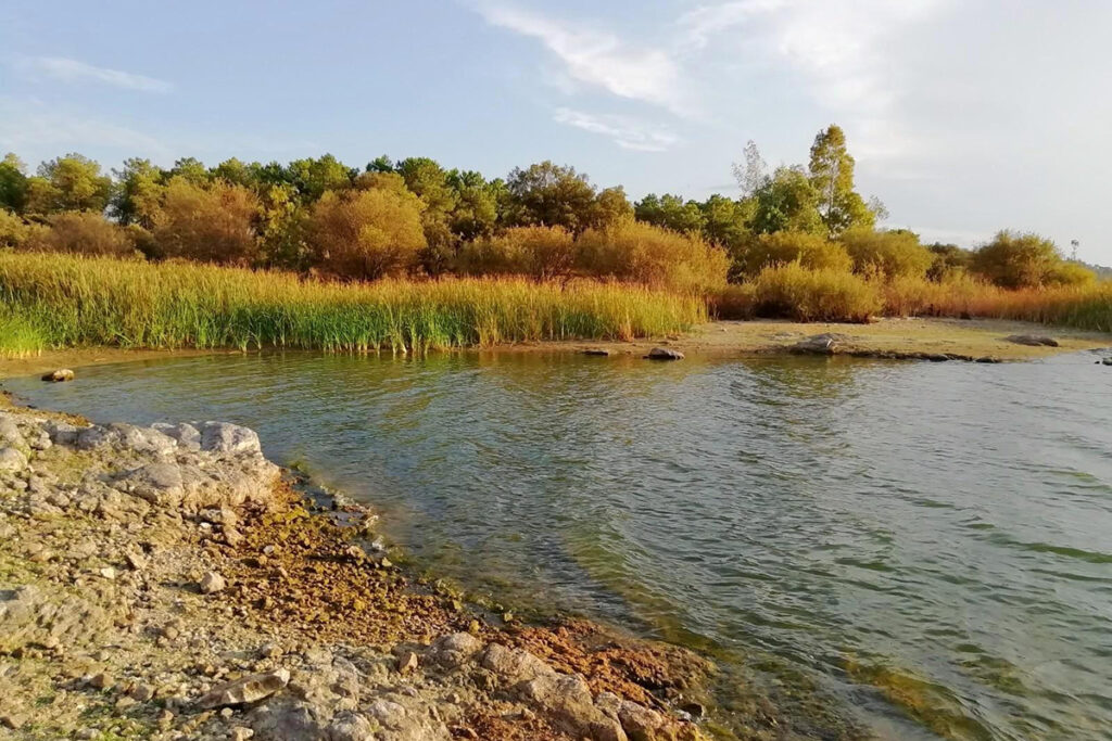 La Junta eleva el PRICAM a Fase de Emergencia, Situación Operativa 2, en toda Castilla-La Mancha