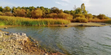 La Junta eleva el PRICAM a Fase de Emergencia, Situación Operativa 2, en toda Castilla-La Mancha