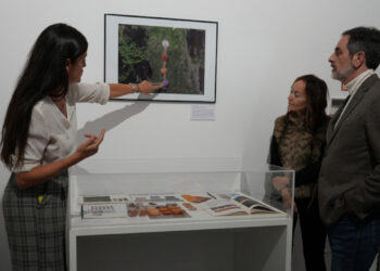 La sala ACUA del campus de Cuenca acoge una exposición sobre la interpretación artística del paisaje de los Montes de Toledo 3 La sala ACUA del campus de Cuenca acoge una exposición sobre la interpretación artística del paisaje de los Montes de Toledo