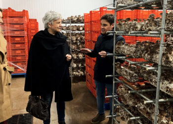 La subdelegada del Gobierno visita Mercajara en Villanueva de la Jara, empresa líder en cultivo de champiñón