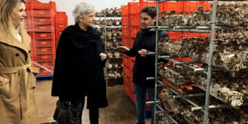 La subdelegada del Gobierno visita Mercajara en Villanueva de la Jara, empresa líder en cultivo de champiñón