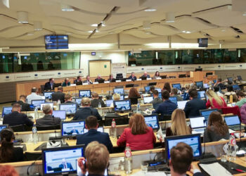 SSPA defiende en el Comité de las Regiones la necesidad de incluir como vinculante el trato diferenciado a las zonas escasamente pobladas