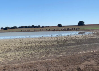 VI Edición de Humedales de La Mancha en la Laguna El Hito
