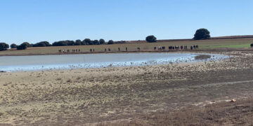 VI Edición de Humedales de La Mancha en la Laguna El Hito