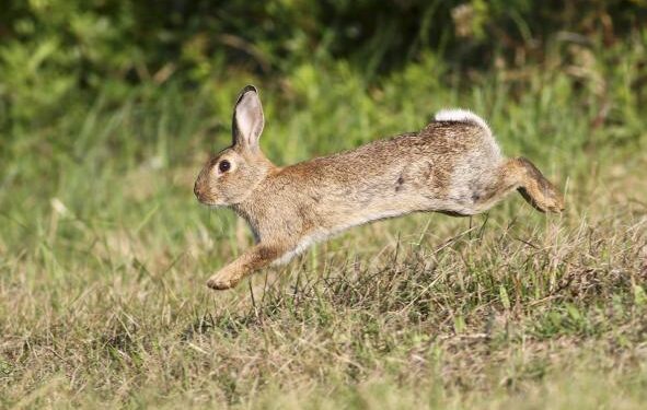 p1jgl90iknh6k11p31dp61ihntr4