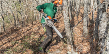 ADAC, la Fundación General de la UA y Cesefor obtienen más de 800.000 euros para impulsar la bioeconomía local en áreas de extrema despoblación