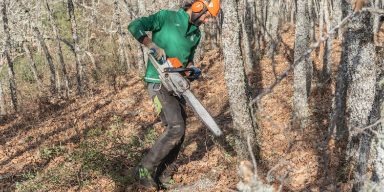 ADAC, la Fundación General de la UA y Cesefor obtienen más de 800.000 euros para impulsar la bioeconomía local en áreas de extrema despoblación
