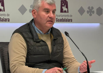 Alfonso Esteban, portavoz del GPP