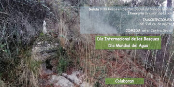 Baños de bosque y senderismo en el Talayuelo CuenCANP celebra la primavera con una ruta inmersiva