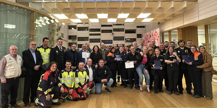 Brihuega, Chiloeches, Fontanar y Torija reciben el distintivo del Estado por su lucha contra la DANA