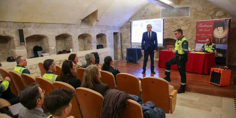 Casi la mitad de accidentes viales son por animales