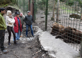 Comienza la temporada 2026 en ‘El Hosquillo’ con nuevas inversiones para mejorar la experiencia del visitante