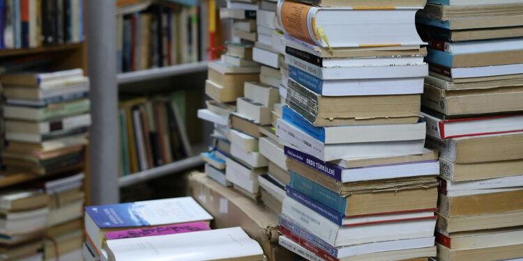 Convocadas ayudas a bibliotecas públicas municipales de Castilla-La Mancha