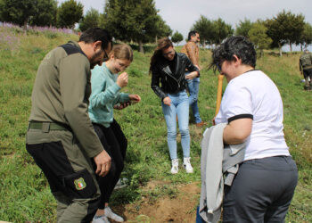 Cuenca celebra el Día Internacional de los Bosques con actividades centradas en la bieconomía