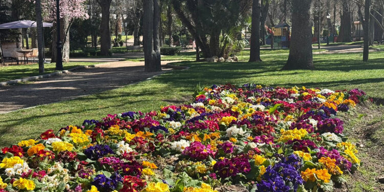 El Ayuntamiento de Guadalajara plantará 140 árboles y 27.000 flores esta primavera