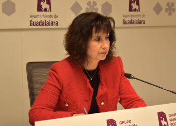 El PSOE pide a Guarinos que no “demore más la renovación del sistema Viogen, porque estaría dejando indefensas a las víctimas de violencia machista”