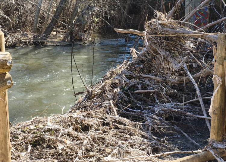 El PSOE pregunta a Guarinos cuándo tiene previsto limpiar el Henares, con miradores rotos y lleno de residuos, o ¿esperará a otra crecida