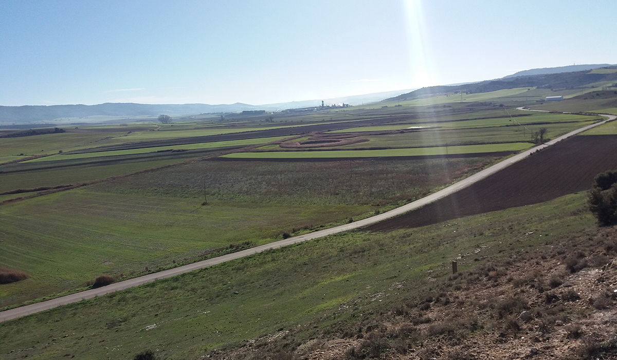 El TSJCM decide el futuro de Los Palancares en Cuenca ante el rechazo ecologista y el temor de la BRIF